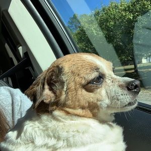 Meet your Posher, Theresa